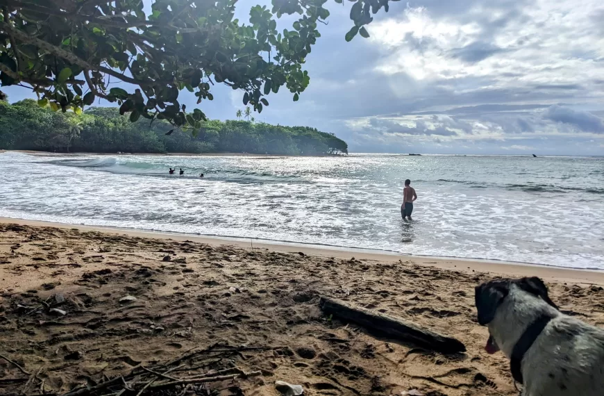 Arriving in the Caribbean (Part 2)