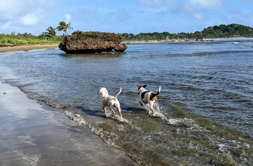 A Quiet Paradise Named Turtle Cay