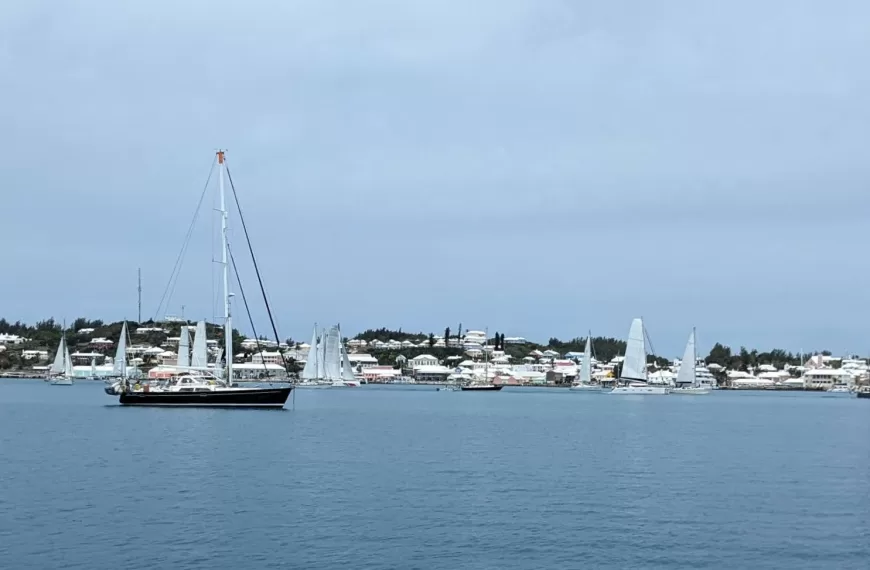 Bermudiful