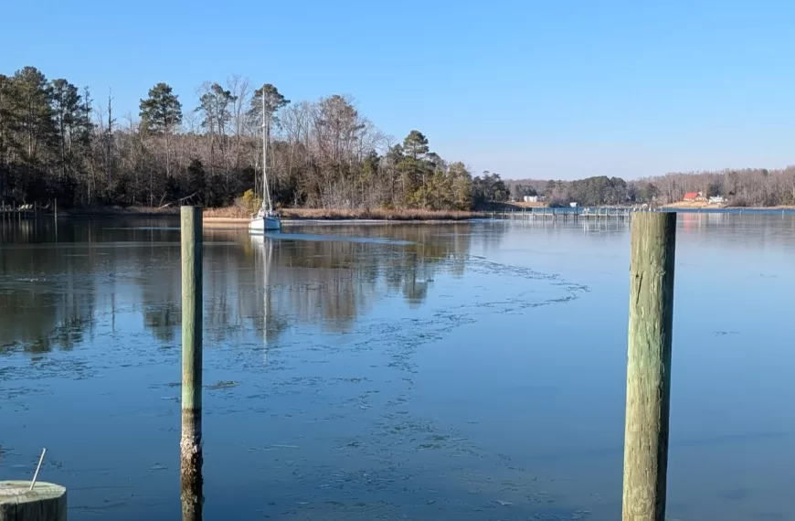 Rua Hatu iced in in a creek on the west shore of Chesapeake Bay